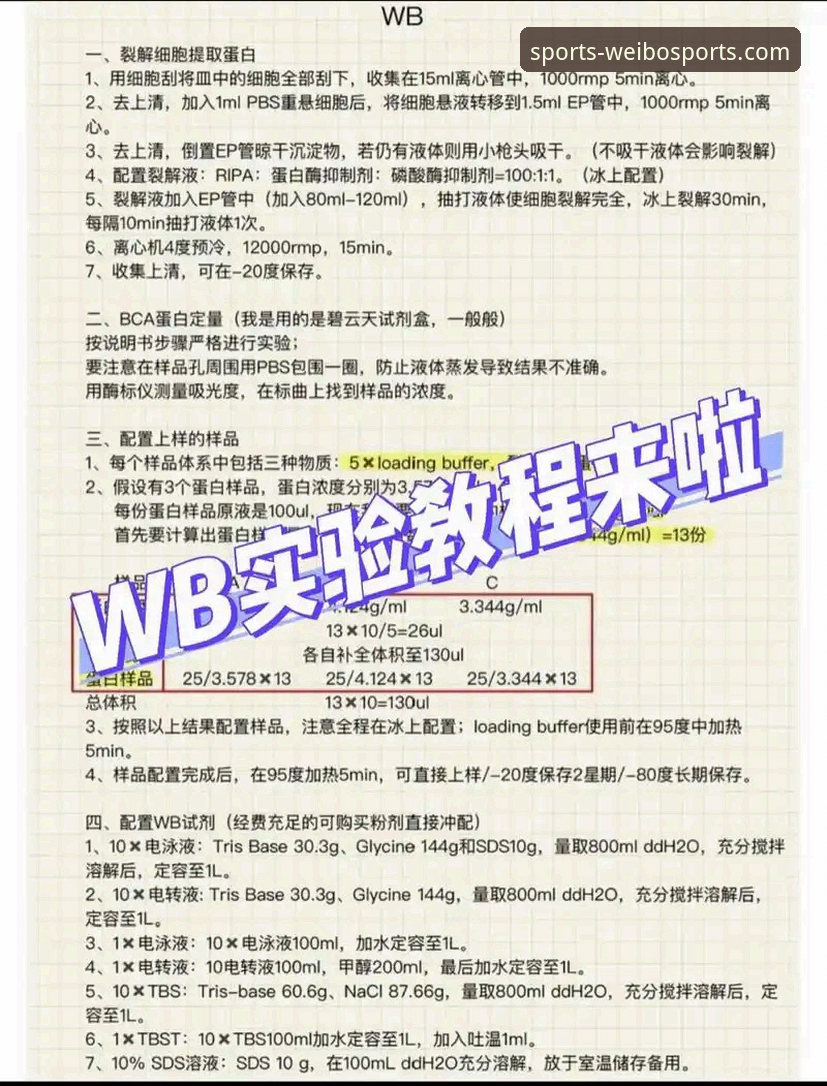 WBSPORTS使用教程功能详解：从注册到实战投注的必备知识